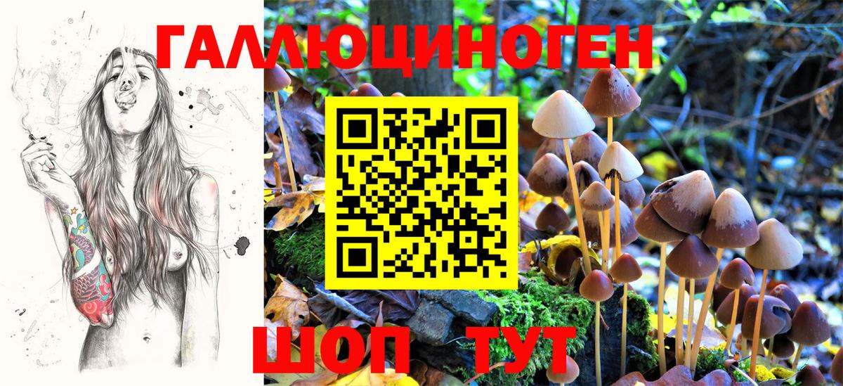 Галлюциногенные грибы Magic Shrooms Азов