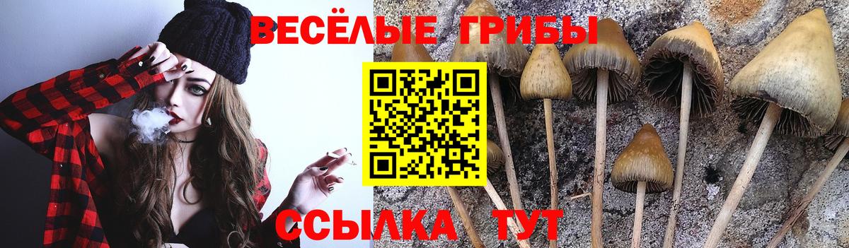 Галлюциногенные грибы Psilocybe  Галлюциногенные грибы Magic Shrooms  что такое наркотик  Вход с VPN  Азов 